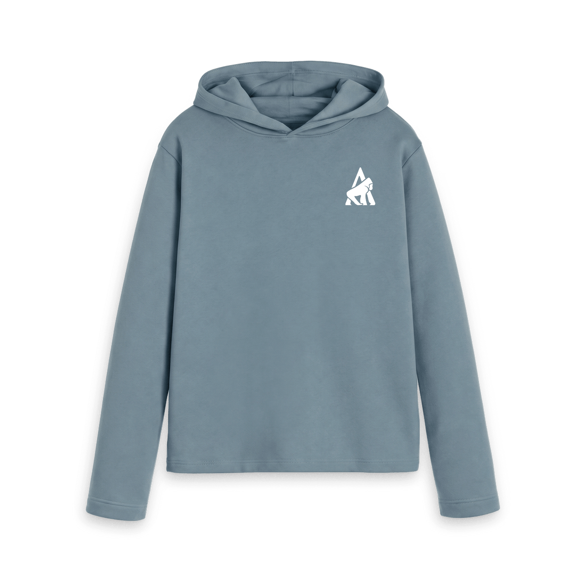 Stone Blue Printed Hoody Front
