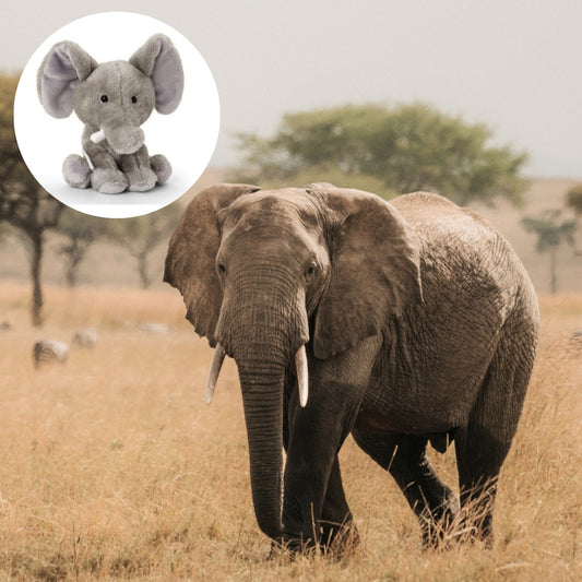 Cuddly African Elephant