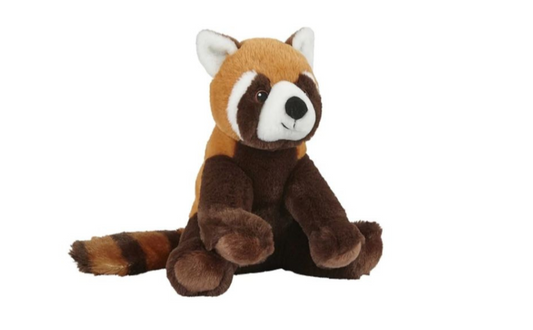 Cuddly Red Panda