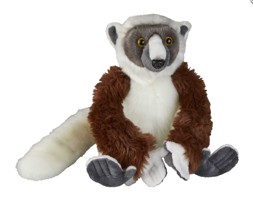 Cuddly Sifaka Lemur