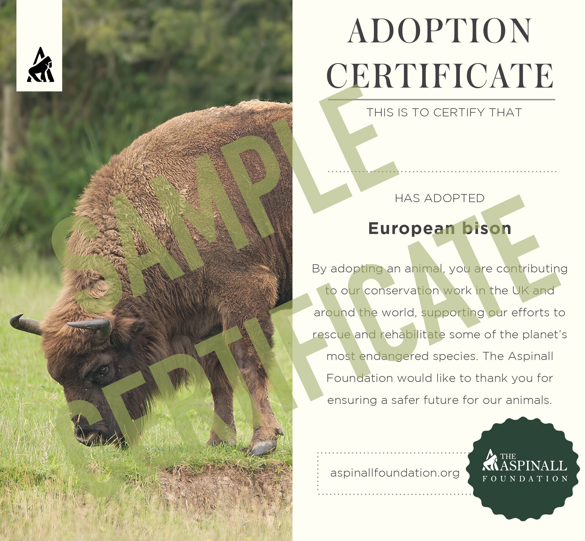 Adopt Tammi the African Elephant