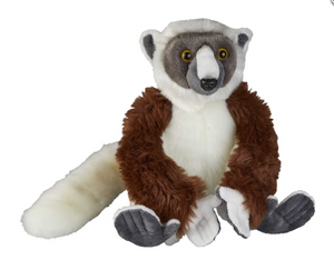 Sponsor a Lemur in Madagascar