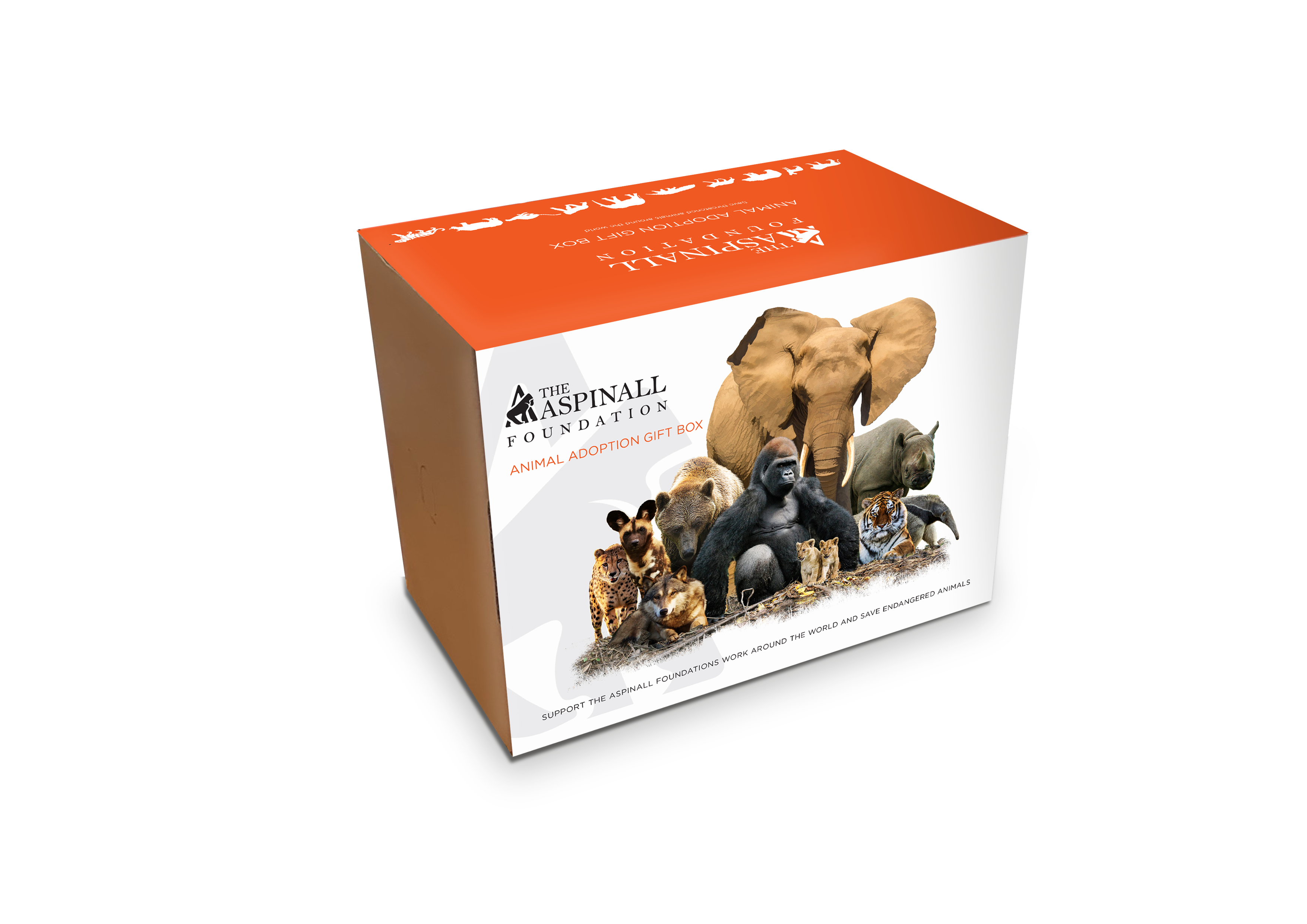 Adopt Tammi the African Elephant