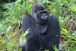 Djala Care Package
